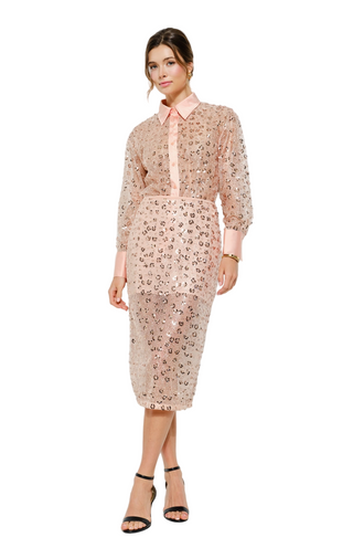 Floral Sequin Embroidered Mesh Midi Skirt