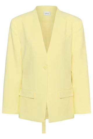 CIA BLAZER