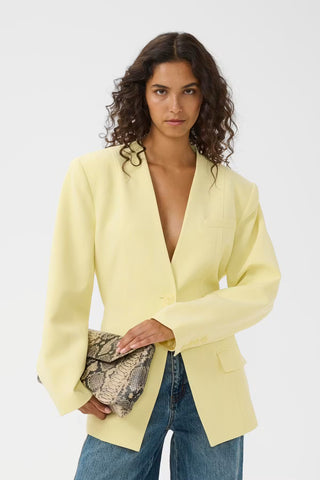 CIA BLAZER