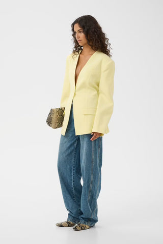 CIA BLAZER