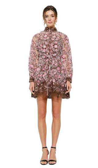 Floral Embroidered Lace Mini Dress