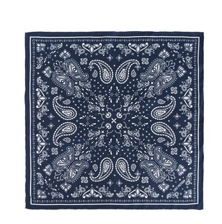 PAISLEY SILK BANDANA
