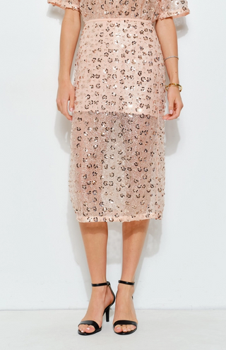 Floral Sequin Embroidered Mesh Midi Skirt