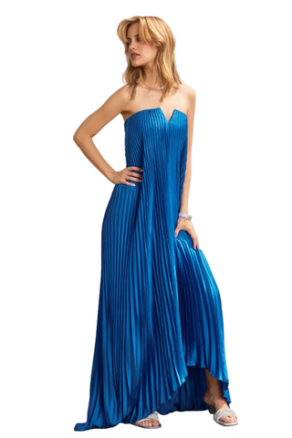 Strapless Pleated Maxi Dress